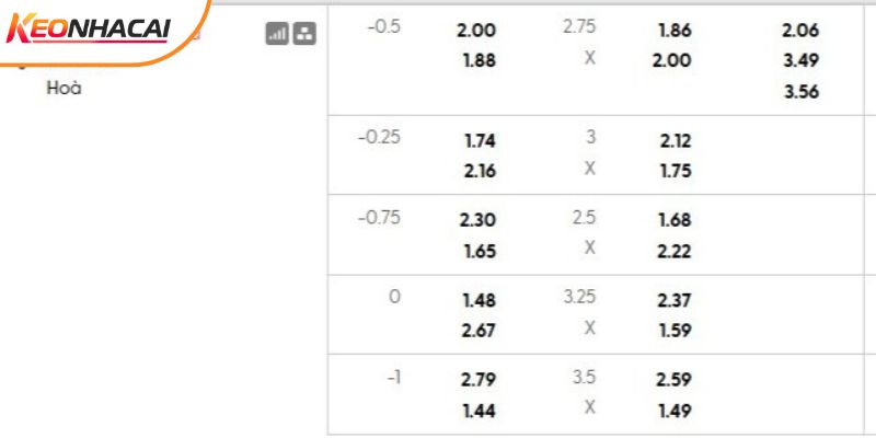 Tỷ lệ kèo Dortmund vs Atalanta Tỷ lệ kèo Dortmund vs Atalanta