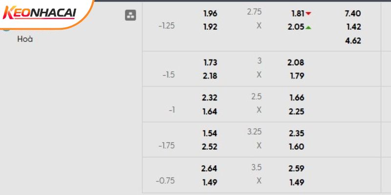 Tỷ lệ kèo Qarabag vs Newcastle Tỷ lệ kèo Qarabag vs Newcastle